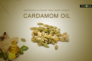 PROPERTIES & USAGES THAT MAKE CARDAMOM OIL UNIQUE