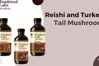The Miraculous Benefits of Reishi and Turkey Tail Mushrooms