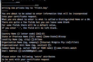 Configurando HTTPS + NGINX + PositiveSSL de Comodo