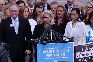 Former Congresswoman Liz Cheney speaks into a cluster of microphones at a pro-life event as supporters stand behind her.