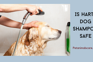 Is Hartz dog shampoo safe?