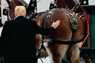 Is Your Leadership A Bunch Of Horses Arses?