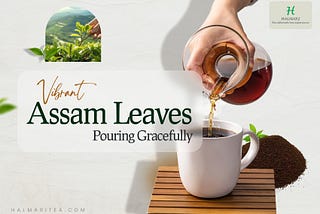 How to Identify a High-Quality Assam Tea