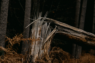 If a Stockmarket Falls in a Republican Forest, Does it Make a Sound?