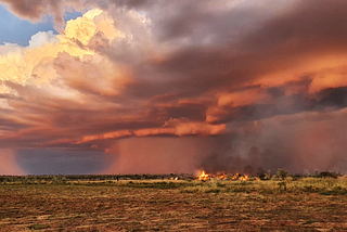 How Kimberley Land Council’s Indigenous rangers bring 65,000 years of expertise to Earth Engine…