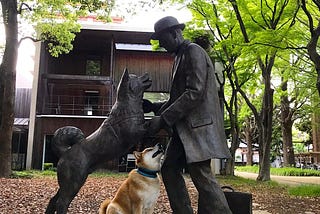 Hachiko: The Unforgettable Tale of Loyalty and Love