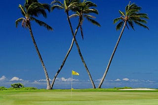 Sony Open Tournament Preview