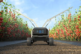 The Green Whisperer: How a Tiny Sensor Revolutionized Precision Farming