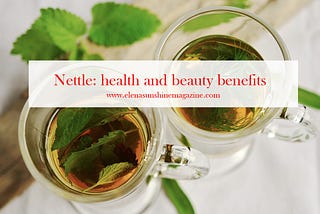 Nettle: health and beauty benefits