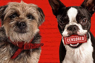 Paws for Thought: A 'Much Different' Look at 'Strays' - the Human Psyche through a Canine Comedy