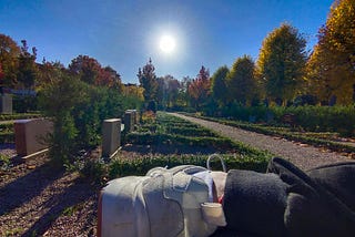 I Came to Write at the Cemetery