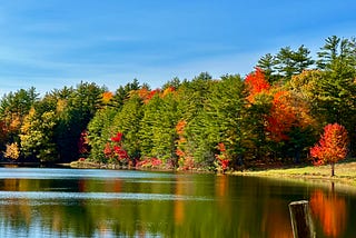 Autumn In New Hampshire