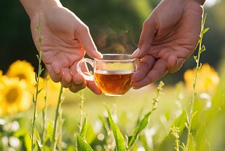 Boost Mood & Energy with Green Tea This Summer