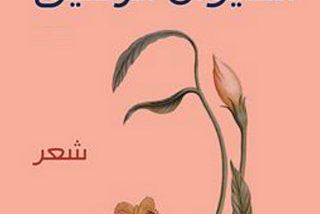 Iraqi Literature in Translation