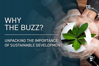 Why the Buzz? Unpacking the Importance of Sustainable Development