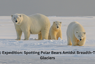 Arctic Expedition: Spotting Polar Bears Amidst Breadth-Taking Glaciers