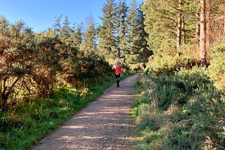 Neil Mapes, the author, running on a pine tree lined section of gravel path in the sun