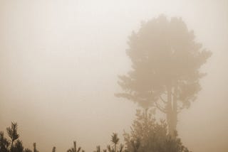 In Haze: Our Past, Present and Future