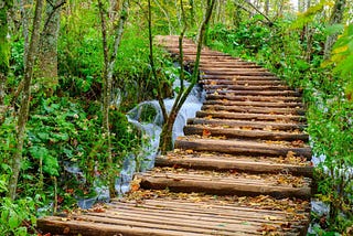 On a Path to Achieving Dreams.