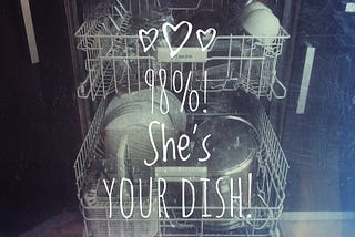 DISHR 2078