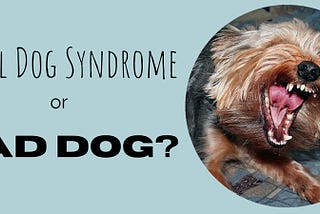 Snarling dog and message Small dog syndrome or bad dog?