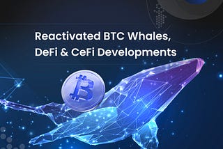 Reactivated BTC Whales and Market Cycle Transitions