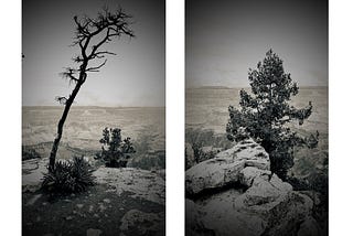 The Watchers on the Rim: Seeing When There’s Nothing to See