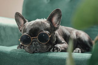 Cute photo of a dog wearing sunglasses.