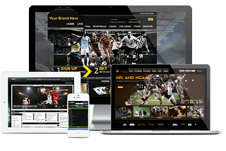 Run Your Own Online Sportsbook and Casino Business| White Label Sportsbook