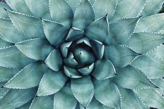 Why meditate?