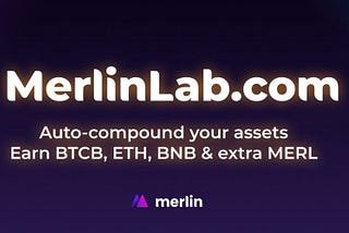 Step By Step Guide On How To Buy Merlin Token Easily