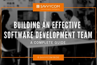 Building an Effective Software Development Team: A Complete Guide