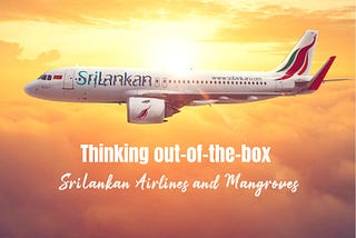 Sri Lankan Airlines’ Ramayana Campaign - A UX Perspective