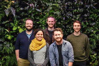 A new financial model for consulting