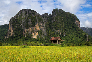 Hut in a paddy field, Vang Vieng, Laos