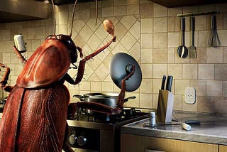 Fear is a cockroach