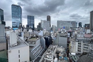 Tokyo in review / 東京