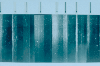 Proxies used to measure climate change