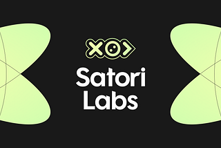 Satori Labs: The Road to 1,000,000 Users
