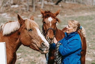 Duties, Responsibilities, and Career Paths of Equine Veterinarians