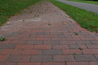 looking down a sidewalk made of brick pavers, sporadically between some of the bricks on the path you see green weeds, or actually purslane, growing.