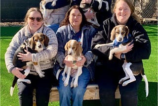 Puppies who flew to freedom, turn 1!