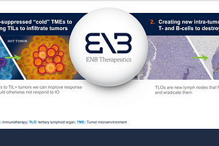 Under the Microscope: ENB Therapeutics