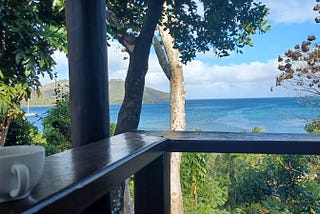 Coffee cup in foreground on the railing of a deck overlooking palm trees and a tropical bay in Fiji.