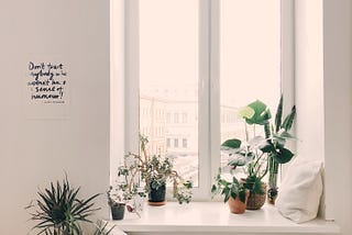 Reasons Why Your Home Doesn’t Look Like #DesignInspo on Instagram