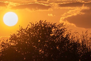 #4 How Afternoon Plays a Vital Role in Your Health