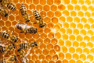 5 OF THE SWEETEST THINGS ABOUT HONEY