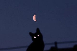 Envelop me, o darkness