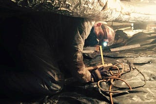 Home inspector found mold in my crawl space