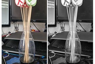 A pair of photos of the finished sticks. The sticks are about 30cm longs and are collected together in a glass bottle. All of the sticks have a white circle at the top, half of them contain a red cross and the other half contain a green tick. The picture on the left shows the sticks in colour and the picture on the right shows them in black and white.